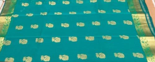 PL BIG BUTTA SAREE